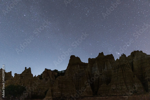 Yunnan Earth Forest Scenery