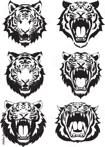 Set of tiger heads with open mouth and bared fangs, with different angry expressions of the muzzle. Symbols for tattoo, emblem or logo, isolated on a white background.
