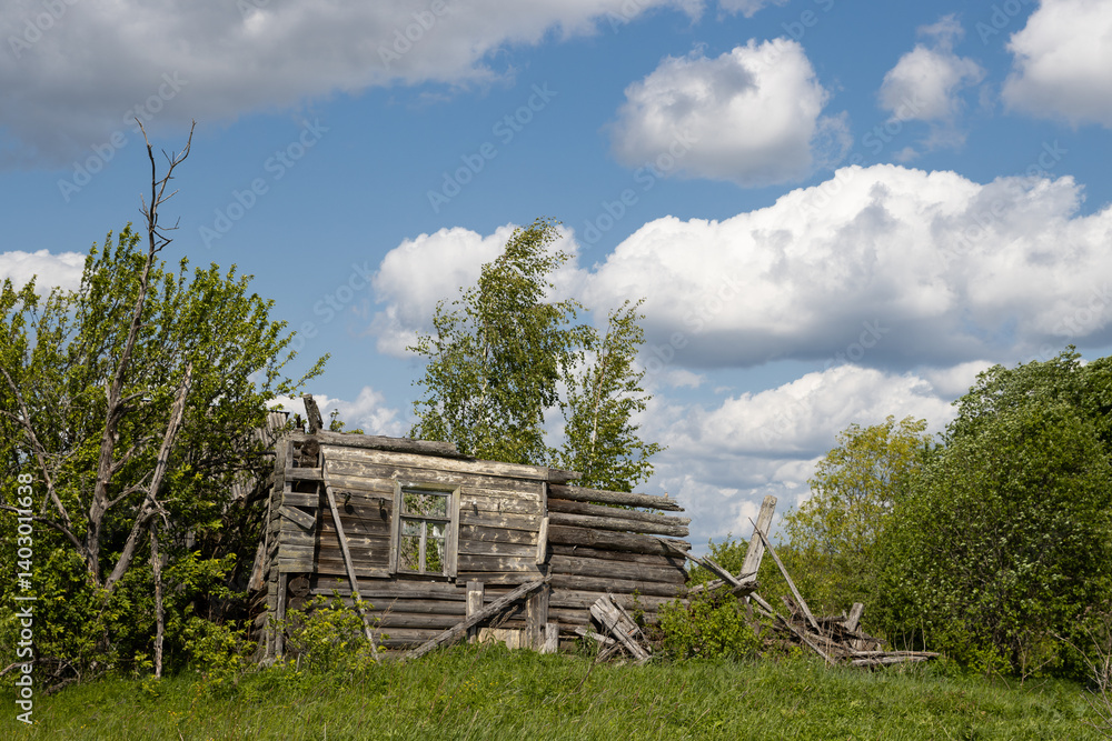 Ruins of an old wooden house. Overgrown ruins of an abandoned hut in the village. Problems of population outflow from villages. Depopulation in rural areas.