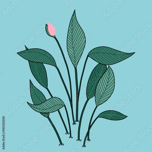 Minimalist Botanical Plant Illustration
