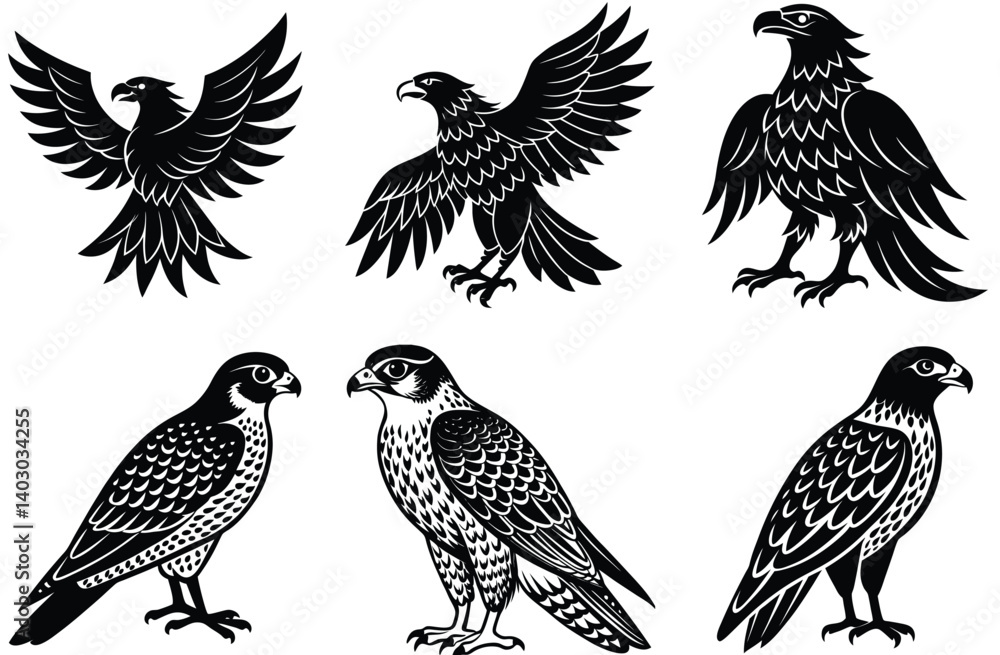 Obraz premium Vector silhouettes of wild birds and eagles in flight
