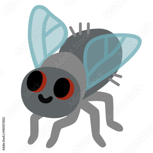 Fly
