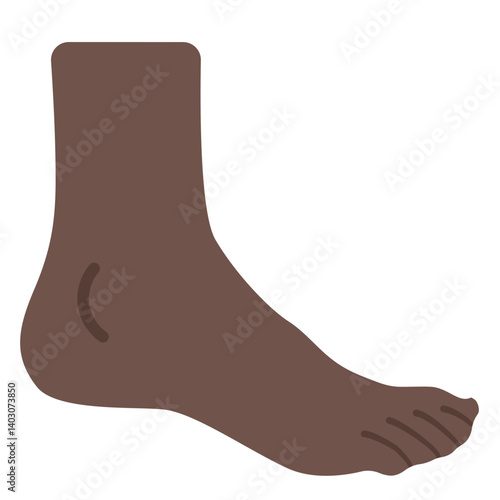 Foot
