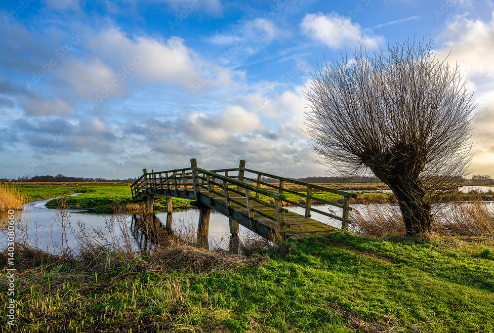 wooden bridge over the river