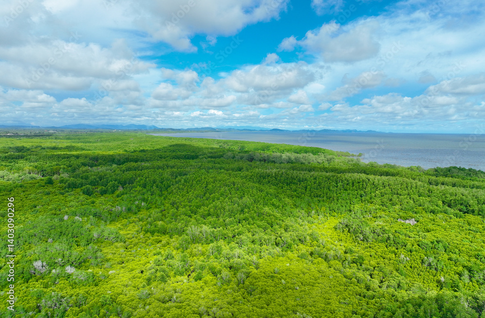 Aerial view green mangrove forest. Natural carbon sinks. Mangroves trees capture CO2. Blue carbon ecosystems. Mangroves absorb carbon dioxide emissions and mitigating global warming. Green ecosystem. Aerial view green mangrove forest. Natural carbon sinks. Mangroves trees capture CO2. Blue carbon ecosystems. Mangroves absorb carbon dioxide emissions and mitigating global warming. Green ecosystem.