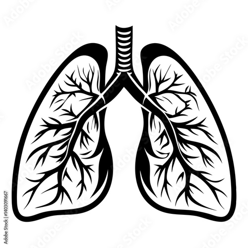 Detailed Black and White Vector Illustration of Lungs with Intricate Veins for Medical Themes