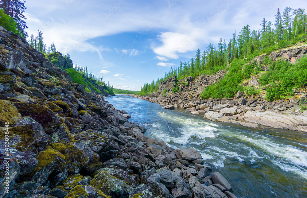 mountain river in the forest