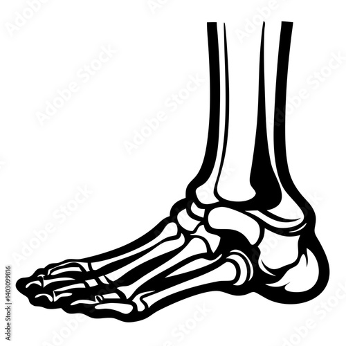 Detailed Anatomical Foot Skeleton Illustration for Medical Education and Tattoo Design