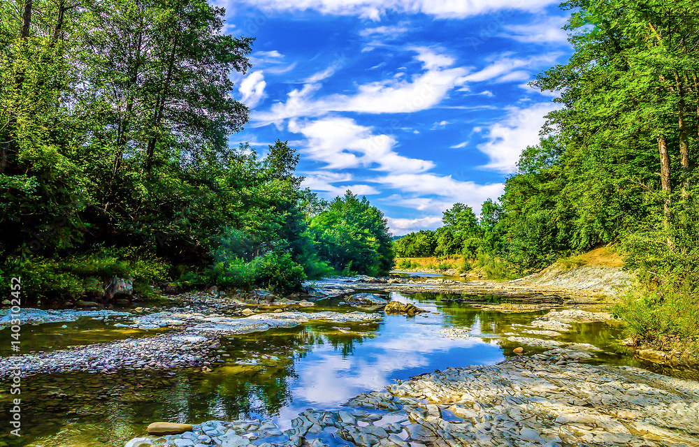 river in the forest