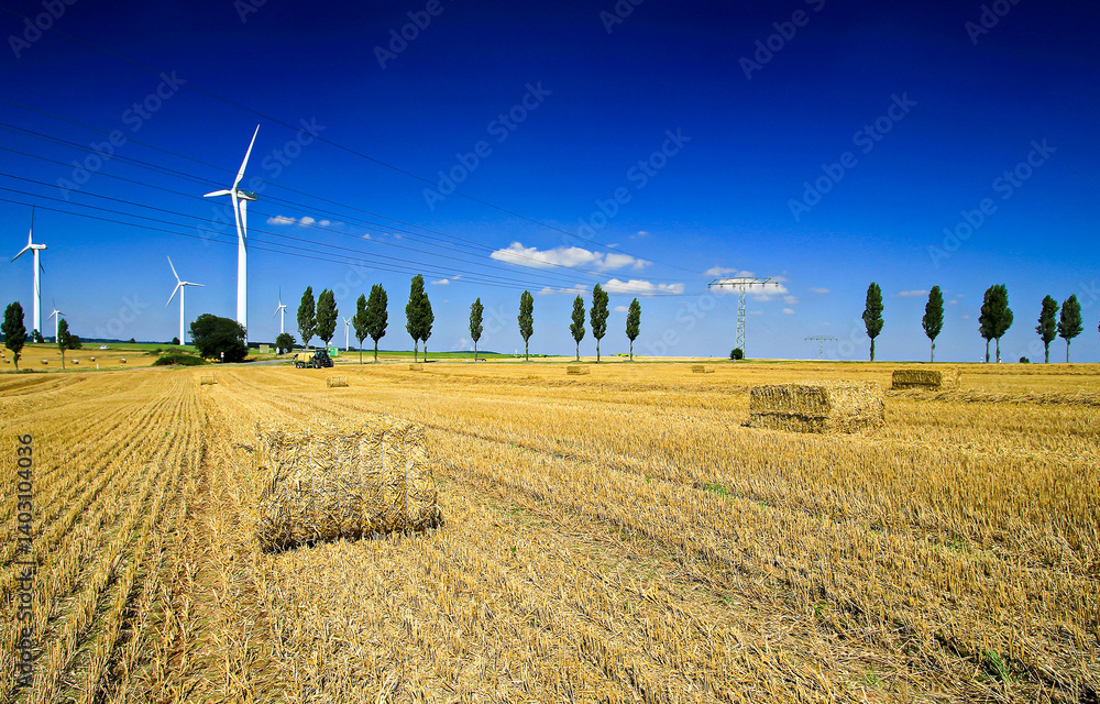 wind turbines farm
