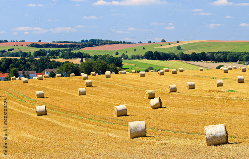 hay bales in the field