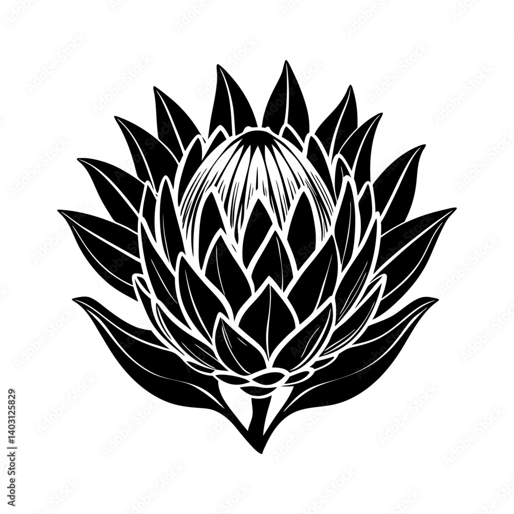 Obraz premium Download King Protea Flower Silhouette Vector Illustration Svg File For Design.