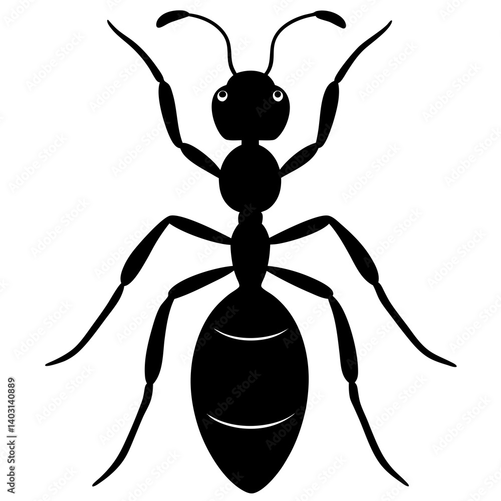 Ant silhouette vector illustration Ant silhouette vector illustration