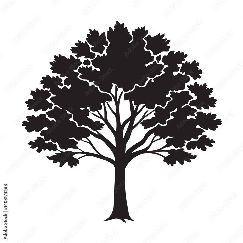Obraz premium Sycamore tree silhouette for leafy nature design