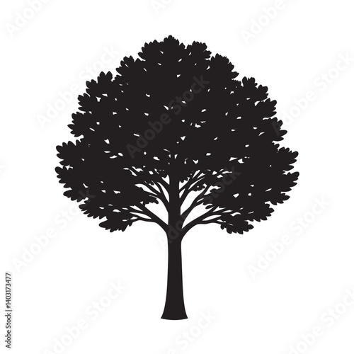 Poplar tree silhouette for botanical collection