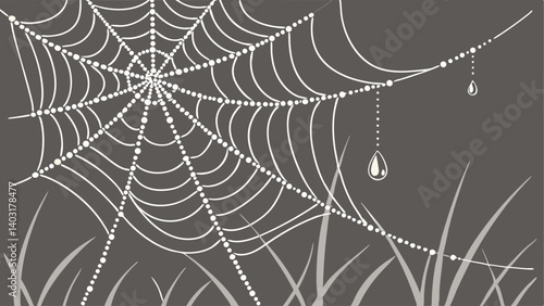 spider web with dew drops