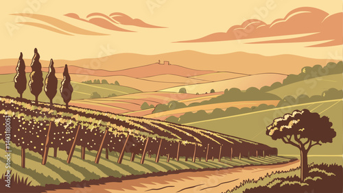 vineyard in tuscany