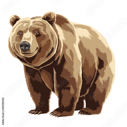 animal bear vector illustration, cartoon illustration