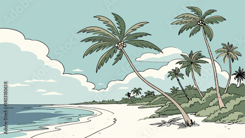palm trees on the beach