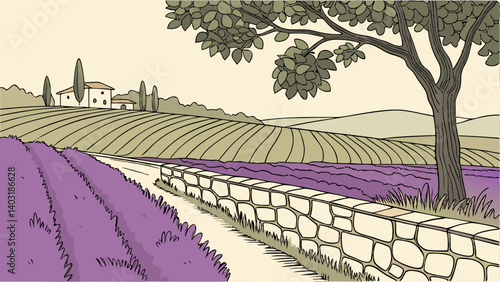 vineyard in tuscany
