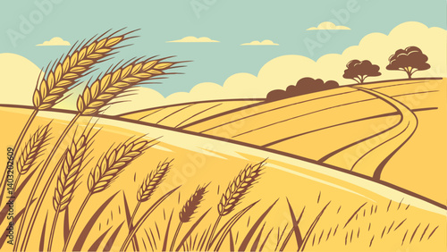 field of wheat