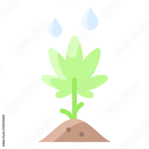 Cultivation