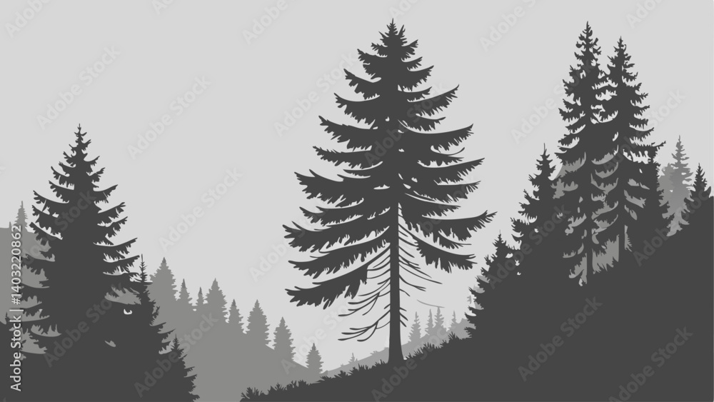 Fototapeta premium fir tree branches