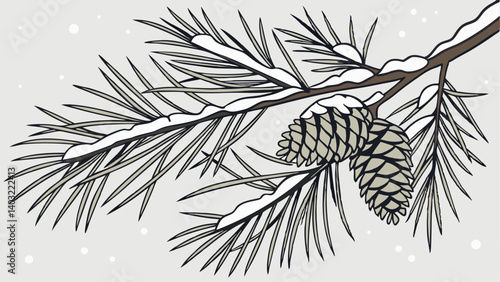 branch of a tree