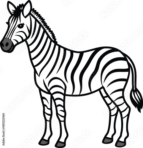 zebra isolated on white