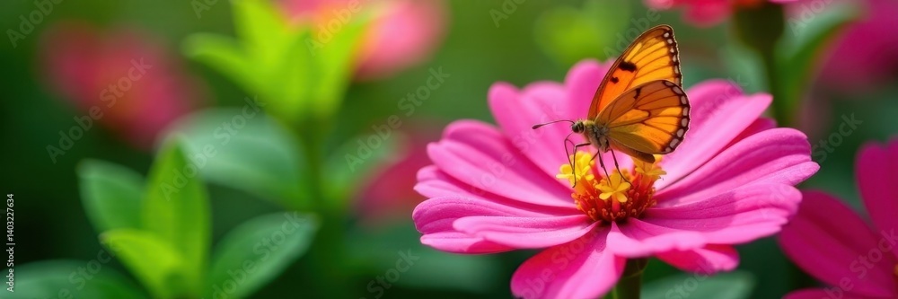 Close-up of butterfly on bright pink flower, lush greenery, daytime, bright, blossom Close-up of butterfly on bright pink flower, lush greenery, daytime, bright, blossom