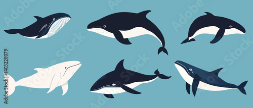 Oceanic mammals illustration featuring various whale species and dolphins