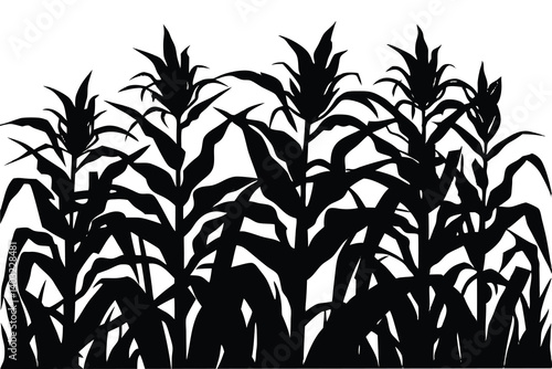 A corn field silhouette vector illustration on white background 