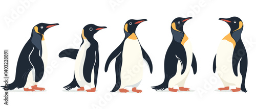Cute emperor penguins illustration vector image for animal lovers design