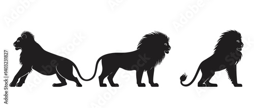 Three lion silhouettes vector illustration african wildlife king of beasts