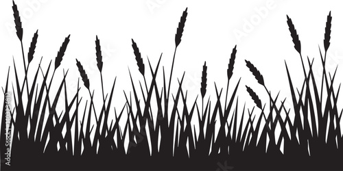 grass silhouette isolated on white