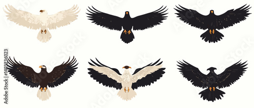 Eagle illustration set, various colorations, bird of prey vector graphic