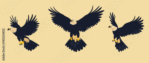 Eagle illustration flying bird of prey animal vector graphic design art