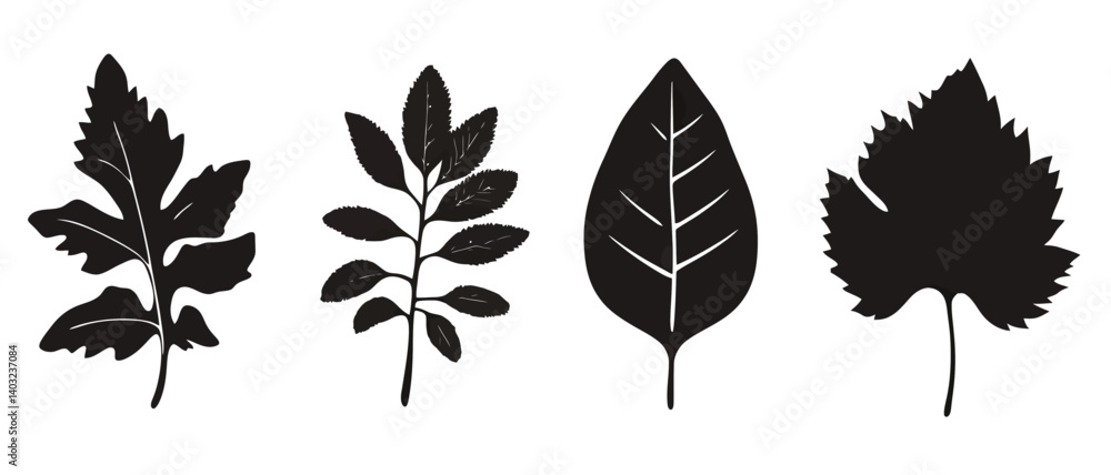 Fototapeta premium Botanical leaf illustration set of four different leaf silhouettes design