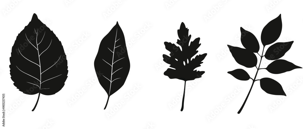 Fototapeta premium Leaf silhouette vector set for botanical illustrations and design assets