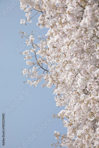 따뜻한 오늘의 봄