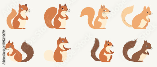 Cute squirrel vector illustration set rodents animal wildlife design art