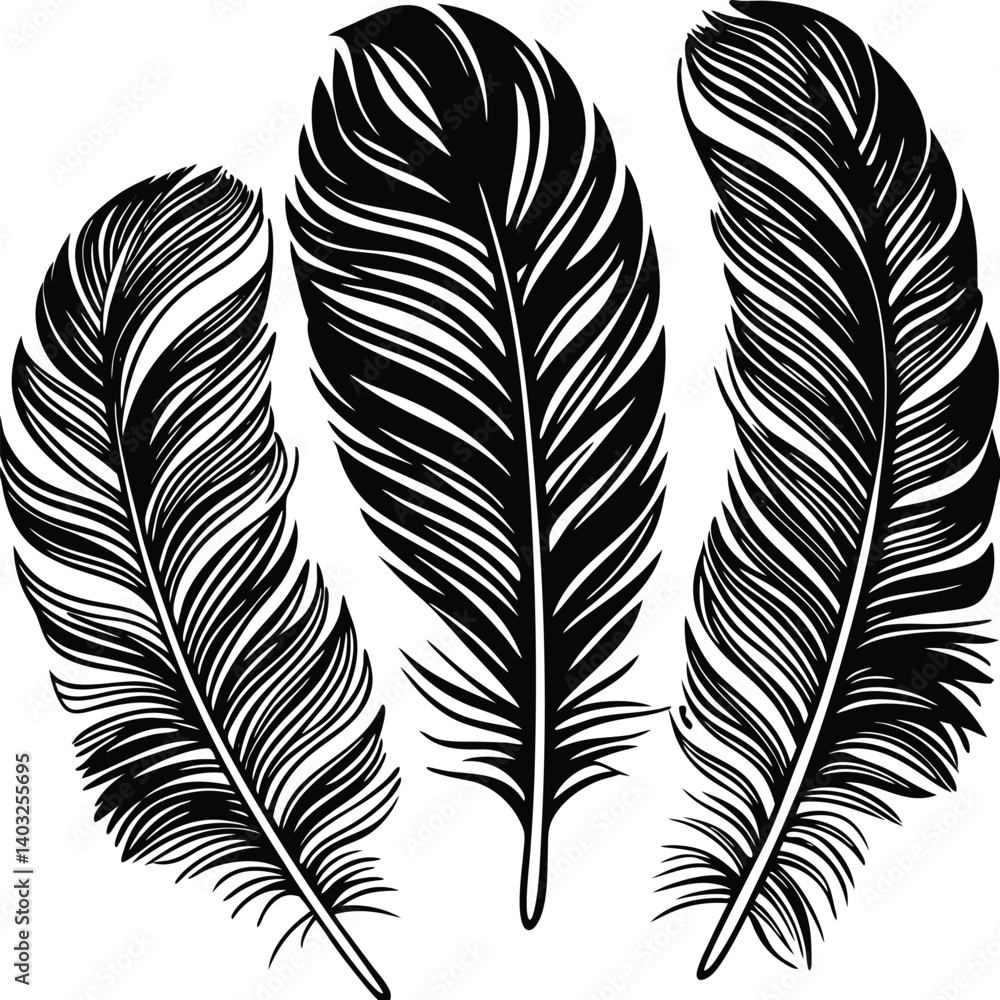 Fototapeta premium Feathers silhouette set vector image (1).eps
