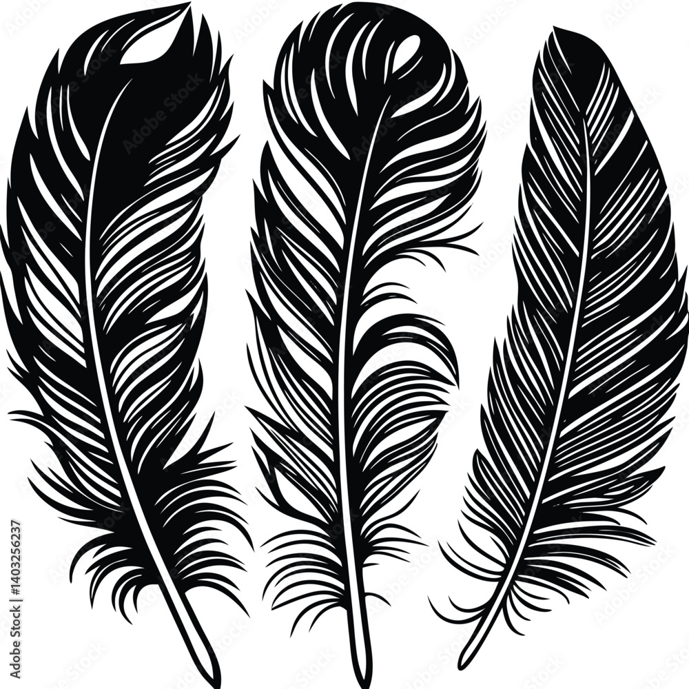 Obraz premium Feathers silhouette set vector image (4).eps
