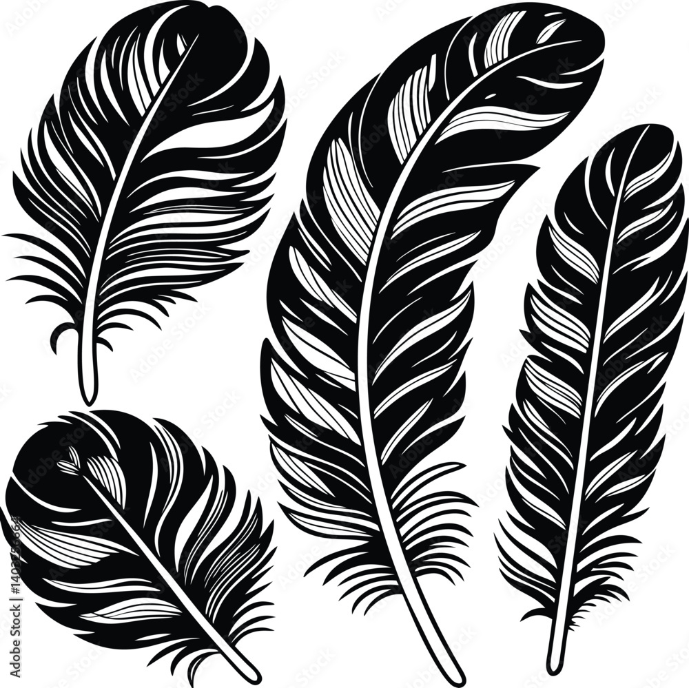 Obraz premium Feathers silhouette set vector image (7).eps