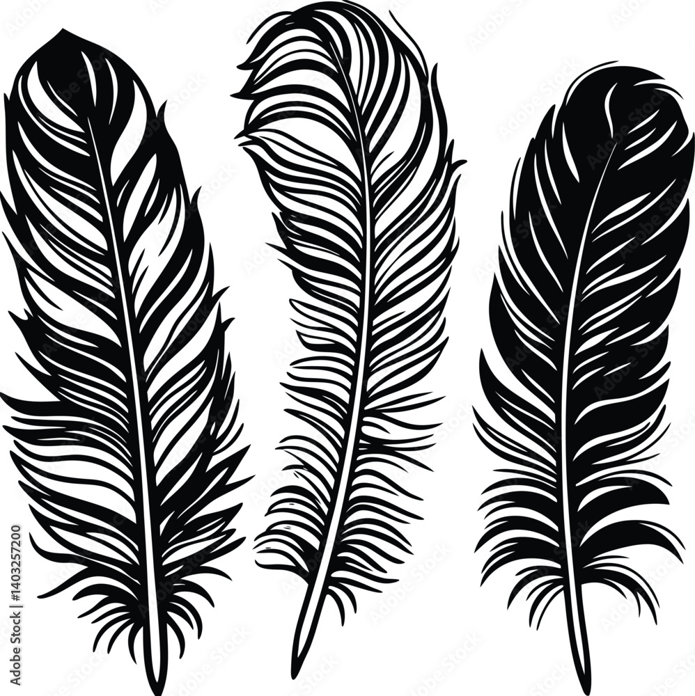Obraz premium Feathers silhouette set vector image (8).eps