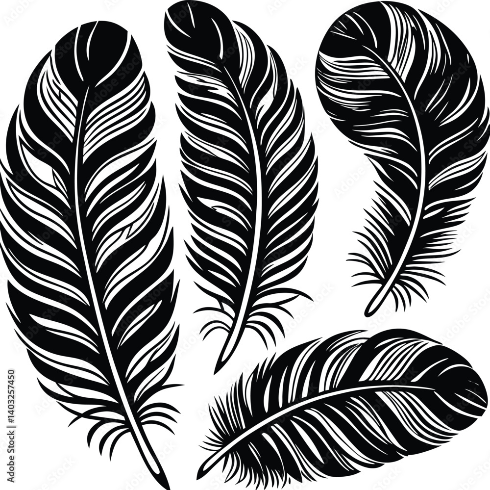 Obraz premium Feathers silhouette set vector image (13).eps