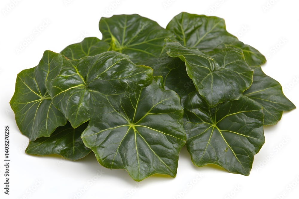 Vibrant Green Tropical Leaves Pile Closeup Vibrant Green Tropical Leaves Pile Closeup