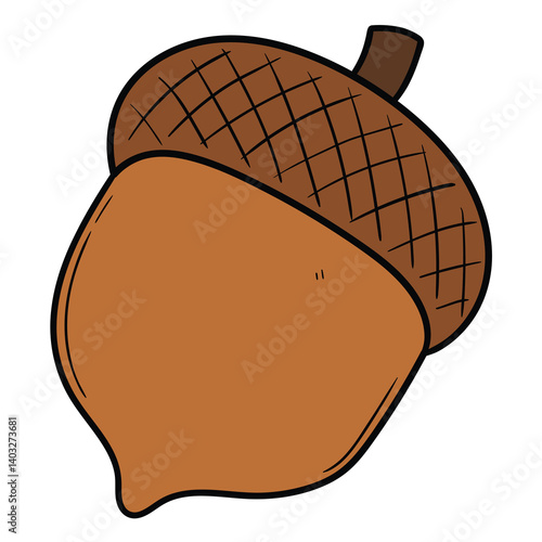 Hand drawn cartoon brown acorn on white background.
