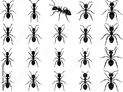 Ant Clipart