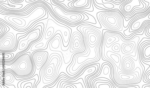 Light topographic topo contour map background, topographic line contour map background, Topographic map background geographic line map with elevation assignments. 